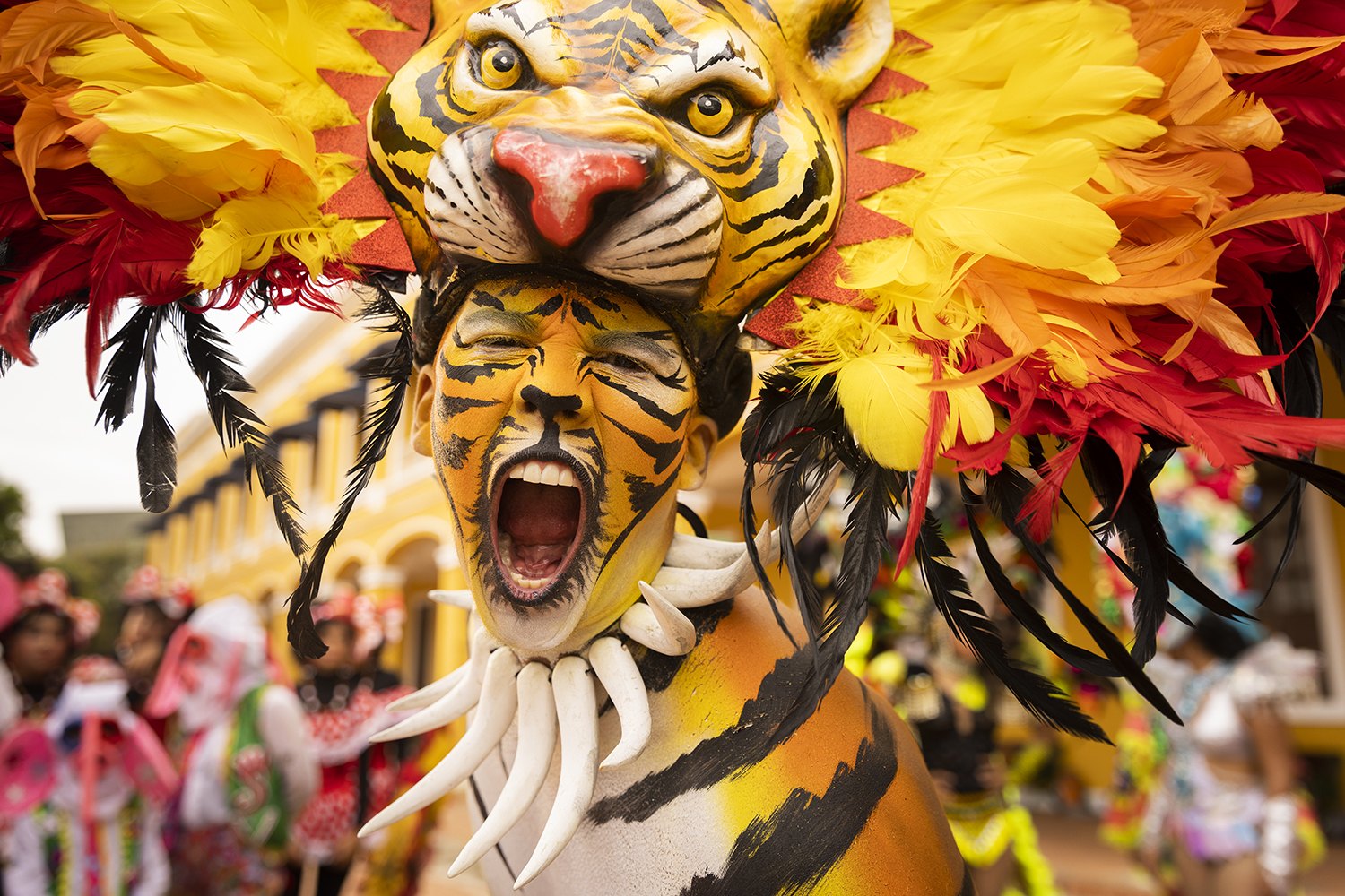 An enormous feathered tiger carnival mask filling the frame