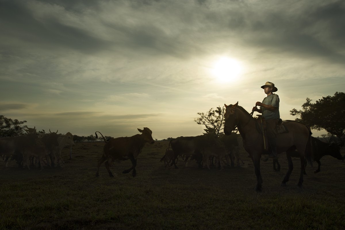 Riders and horses silhouetted against a low sun on open ground