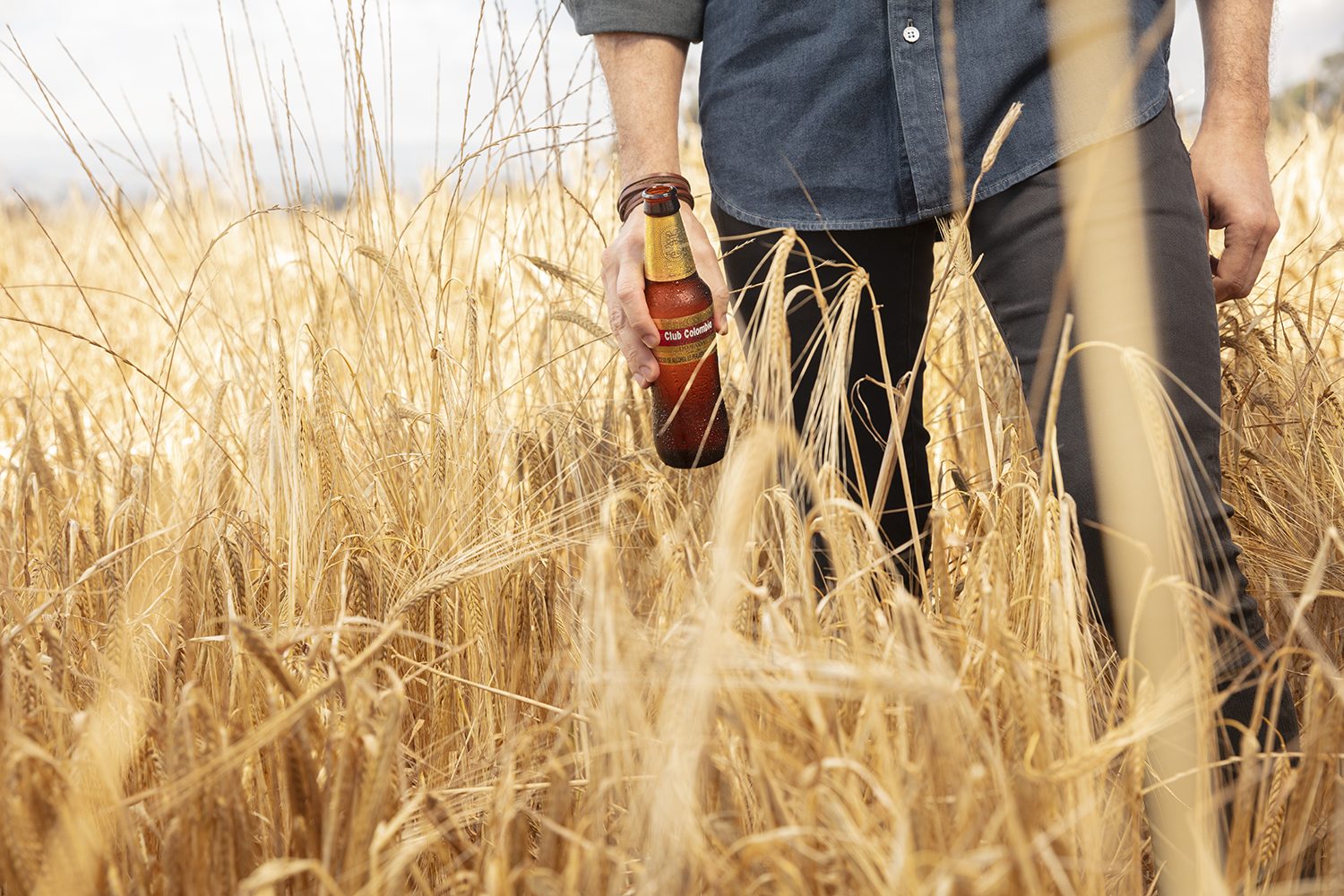 A hand carries a bottle through the tall barley