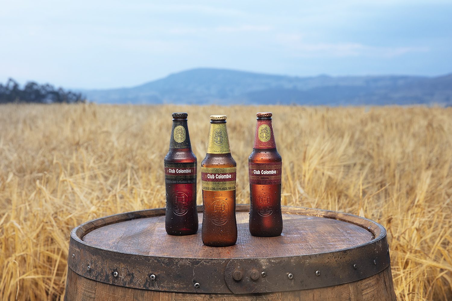 Bottles arranged on a barrel against the hills