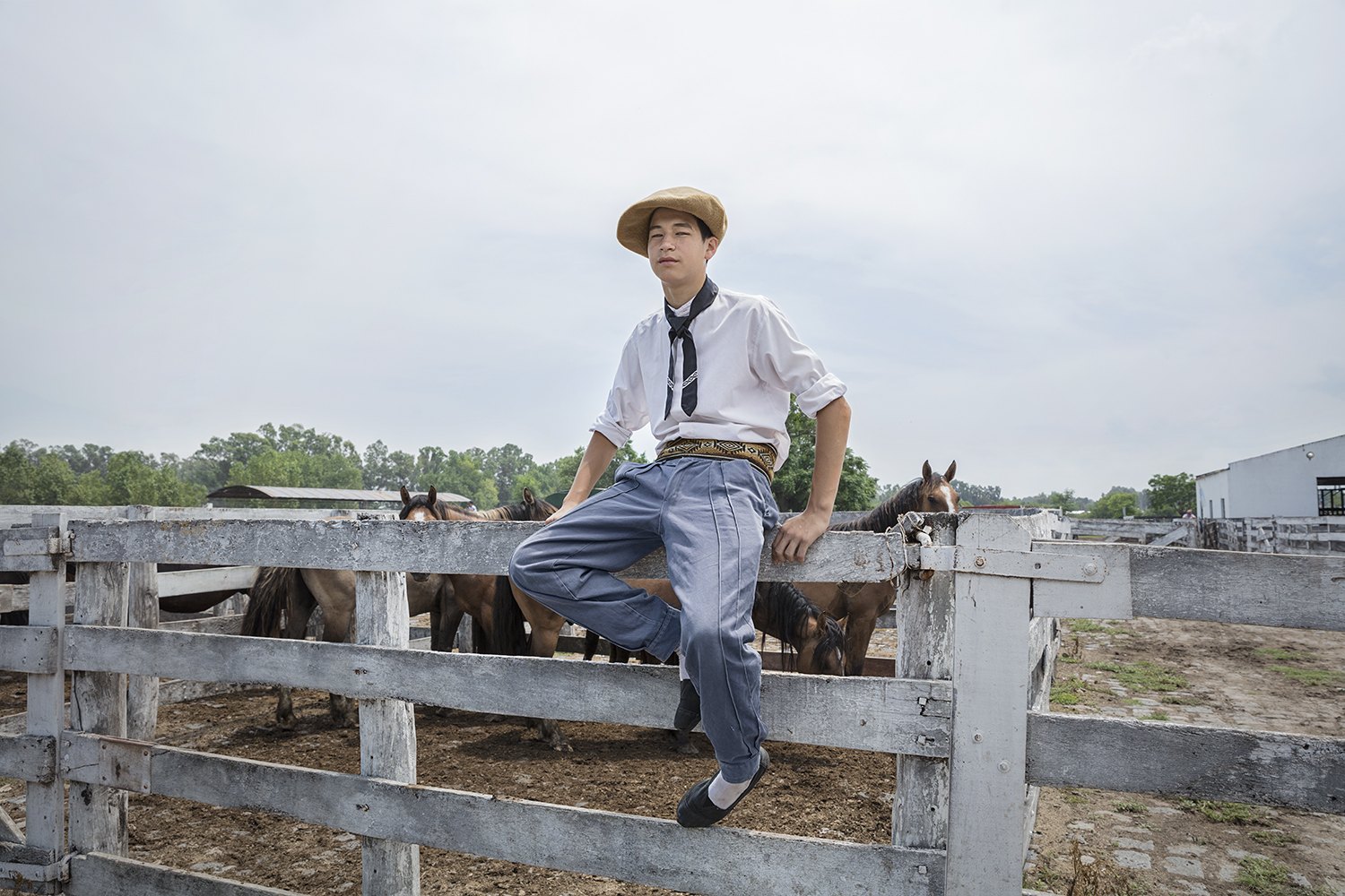 A young gaucho in a straw hat sits up on the corral fence with cattle penned behind him