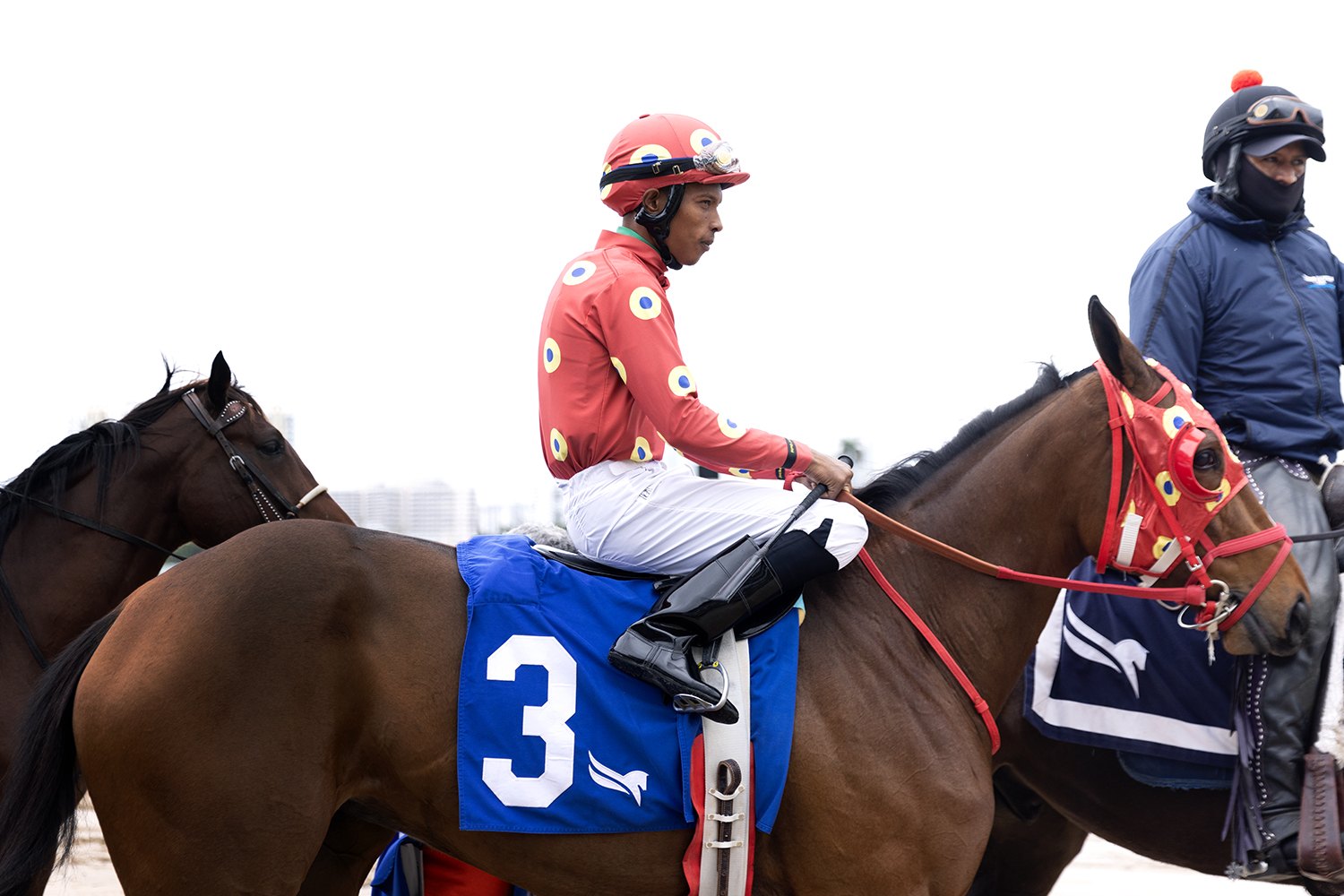 A jockey in red and white polka dot silks sits up on number three as a groom leads the horse out