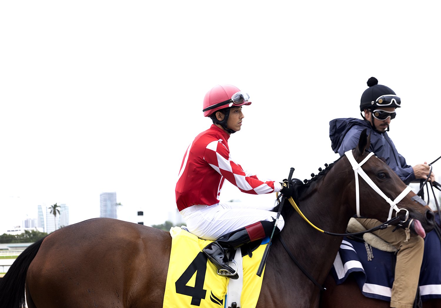 Red and white checked silks on horse number four, palms and the Miami skyline low on the horizon