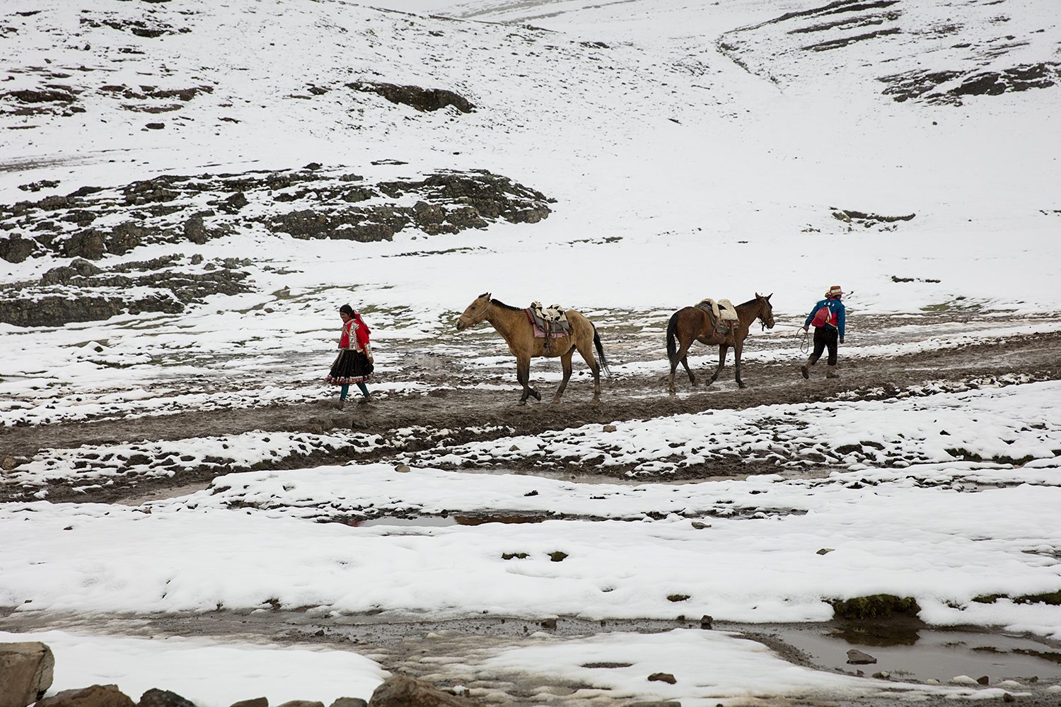 Horses and herders on a frozen plain in the Andean mist