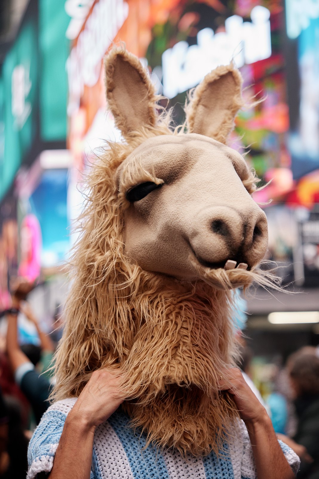 A plush llama held high above the crowd against the LED billboards of Times Square